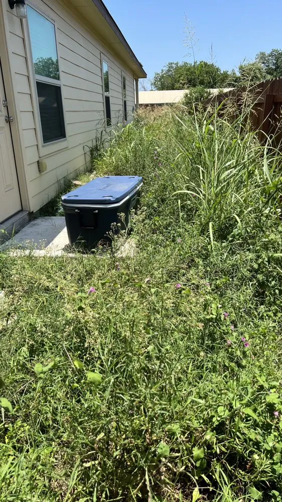 Top-rated lawn care service for residential properties across Seguin, TX - All-Out Landscaping & Lawn Care