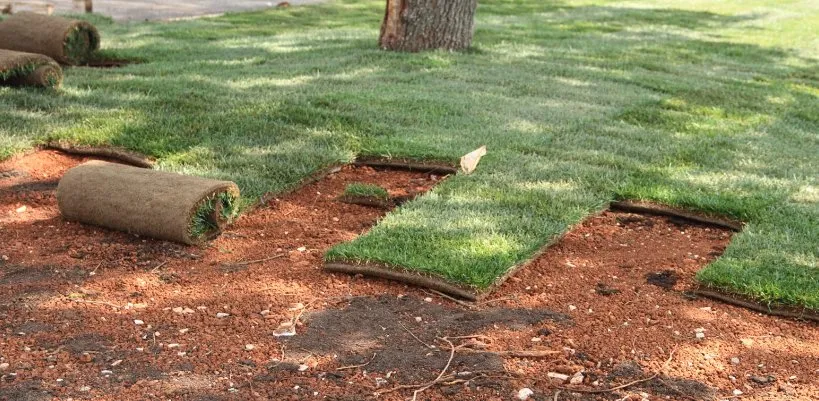 Reliable garden landscaping experts serving Seguin, TX - All-Out Landscaping & Lawn Care