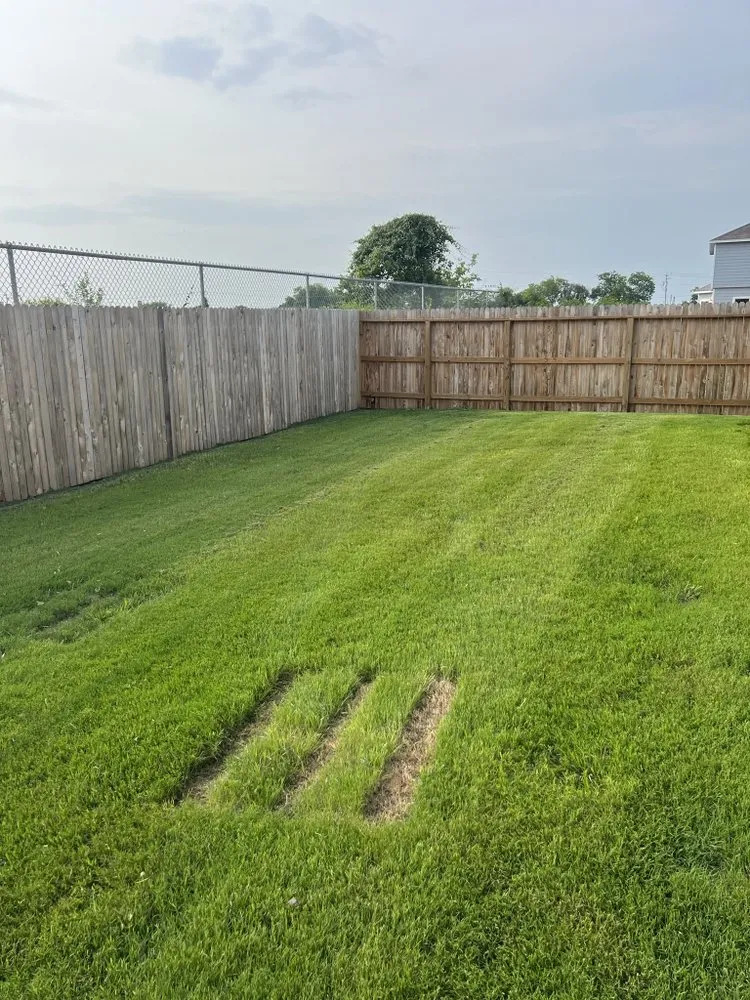 Local garden landscaping for residential properties across Seguin, TX - All-Out Landscaping & Lawn Care