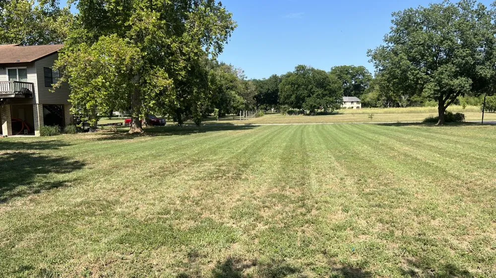 Custom landscaping services in Seguin, TX - All-Out Landscaping & Lawn Care