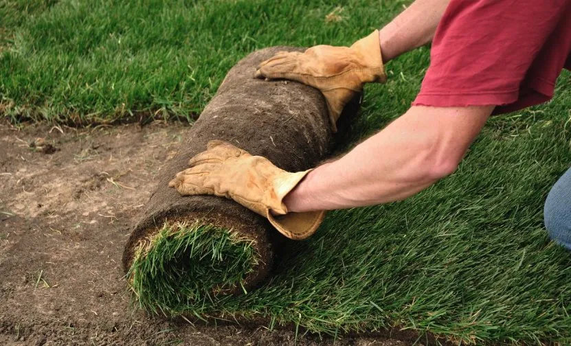 Custom lawn care service in Seguin, TX by All-Out Landscaping & Lawn Care