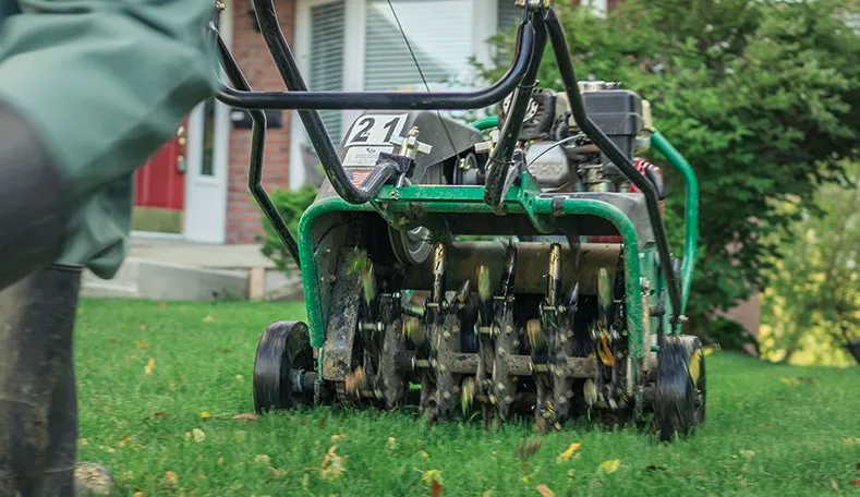 Reliable garden landscaping for beautiful yards across Seguin, TX - All-Out Landscaping & Lawn Care