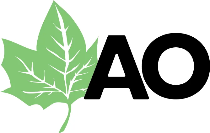 Affordable lawn mowing service in Seguin, TX by All-Out Landscaping & Lawn Care