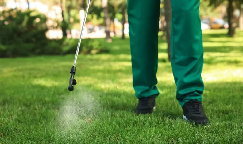 Professional yard cleanup service near you in Seguin, TX by All-Out Landscaping & Lawn Care