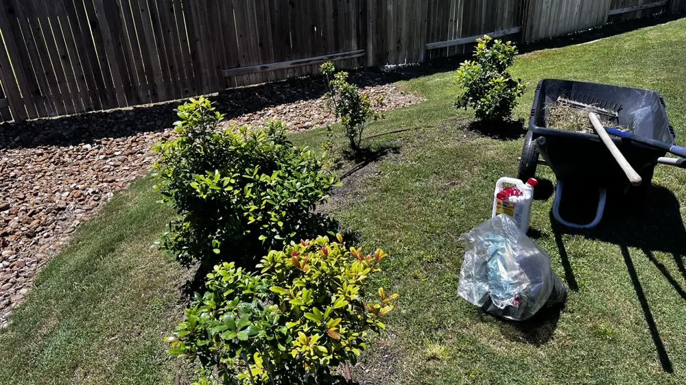 Reliable garden landscaping in Seguin, TX - All-Out Landscaping & Lawn Care