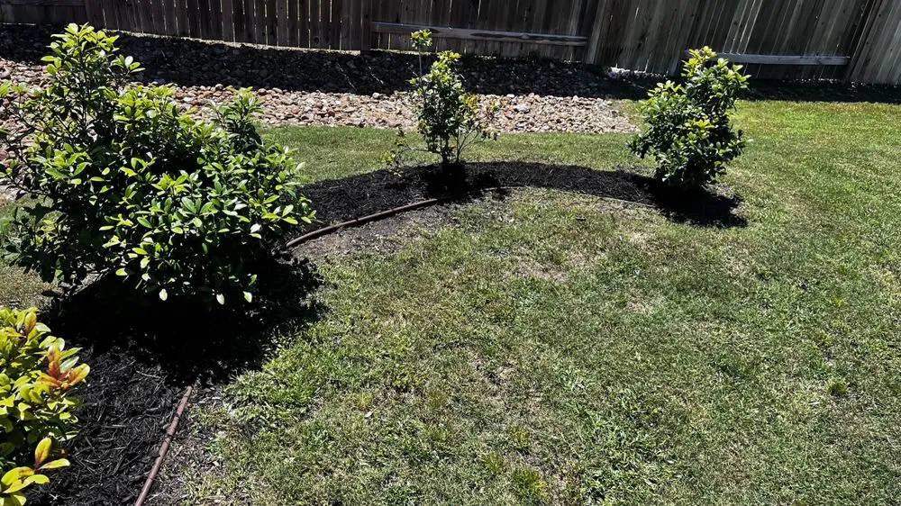 Top-rated garden landscaping in Seguin, TX by All-Out Landscaping & Lawn Care