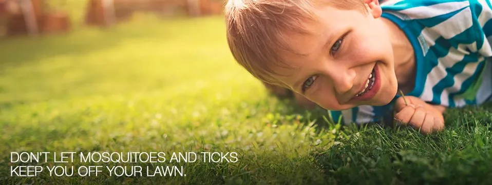Top-rated lawn mowing service for homes across Seguin, TX - All-Out Landscaping & Lawn Care