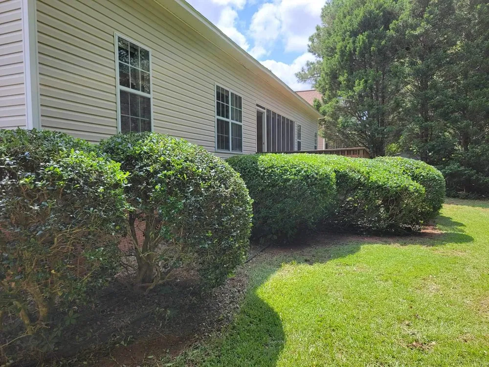 Trusted landscape installation for outdoor upgrades across Irmo, SC - All Out Landscaping