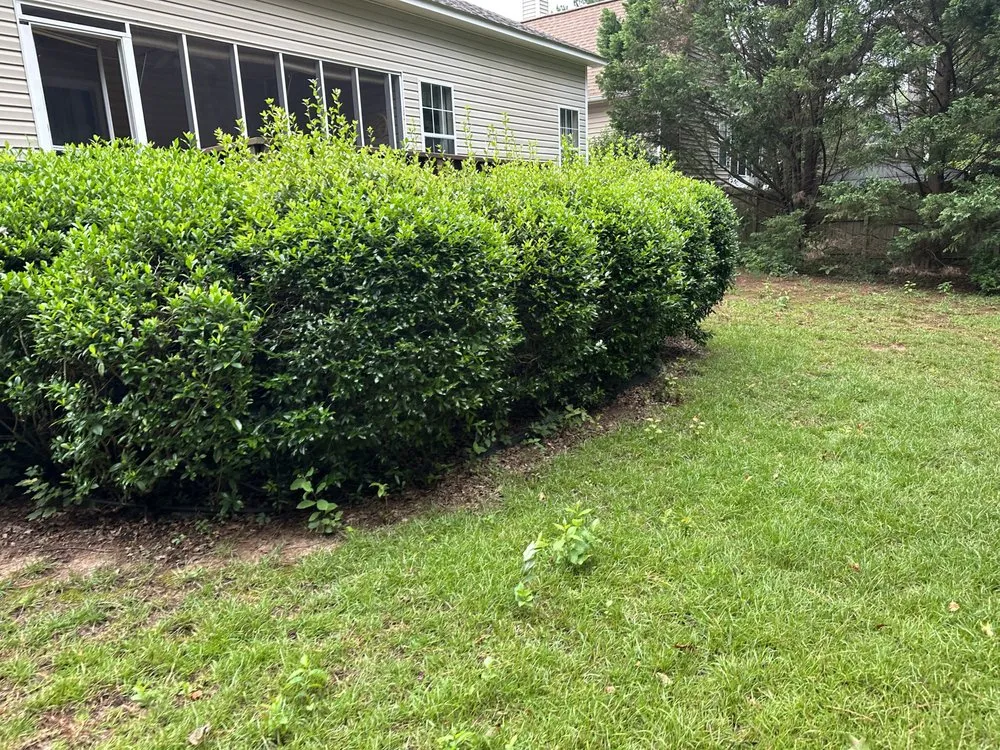 Custom landscape design experts serving Irmo, SC - All Out Landscaping