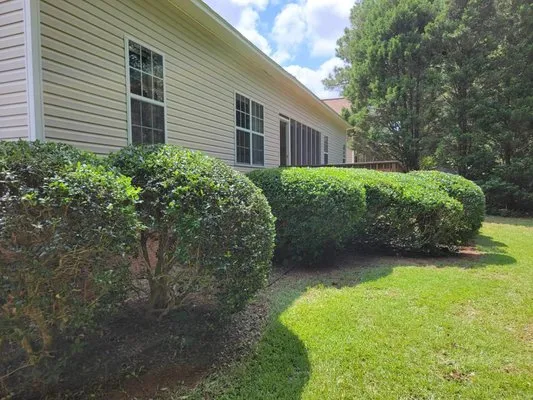 All Out Landscaping Logo