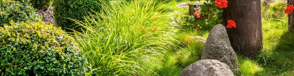 Trusted landscaping services experts serving Ladson, SC - All Out Landscaping