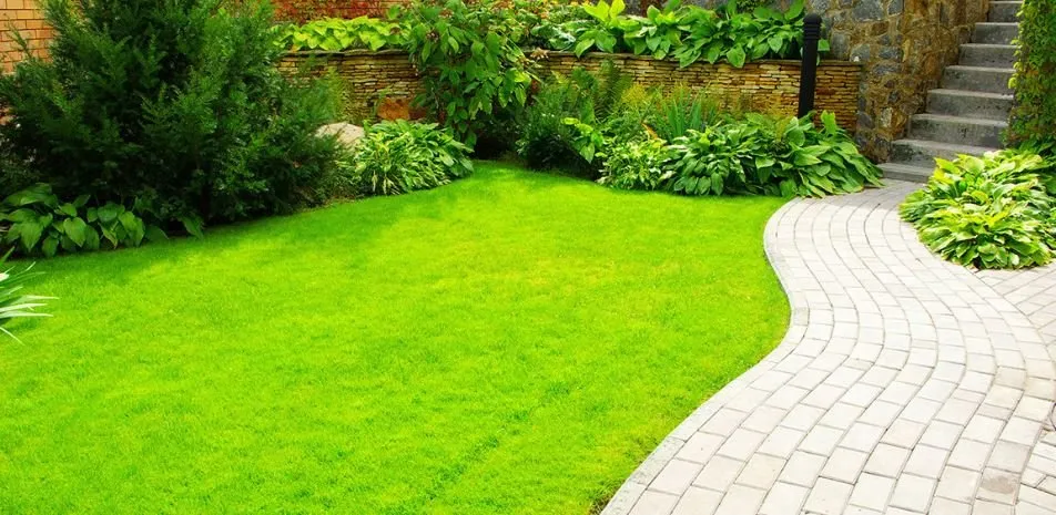 Local garden landscaping near you in Ladson, SC by All Out Landscaping