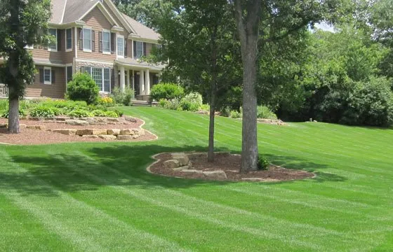Local lawn care service in Stafford, CT by All Out Landscaping