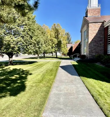 All Out Lawn Services