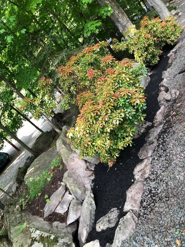 Trusted residential landscaping experts serving Lake Ariel, PA - All-Out Logging & Landscaping