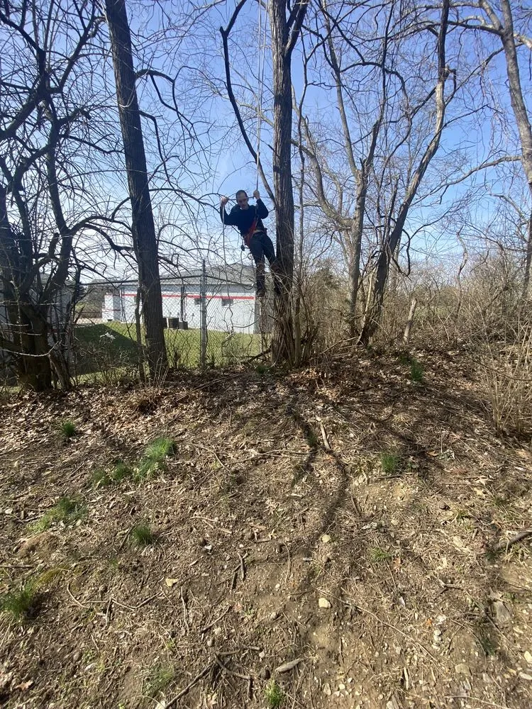 Top-rated outdoor landscaping in Hebron, KY - ALL OUT Stumps & Lawn Care