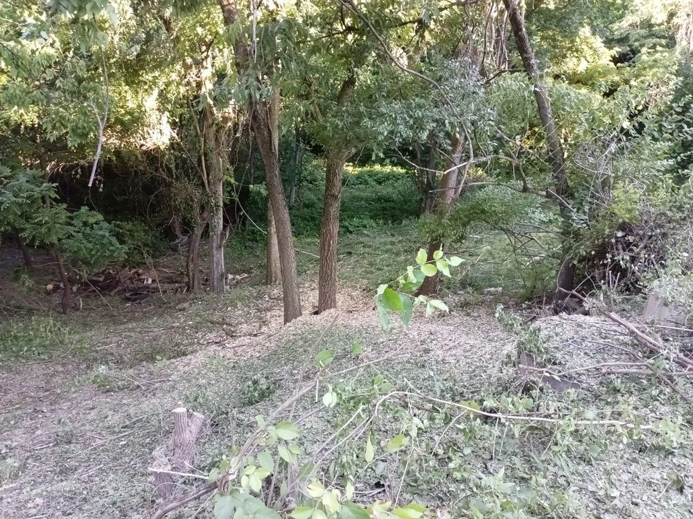 Custom garden landscaping for beautiful yards across Hebron, KY - ALL OUT Stumps & Lawn Care