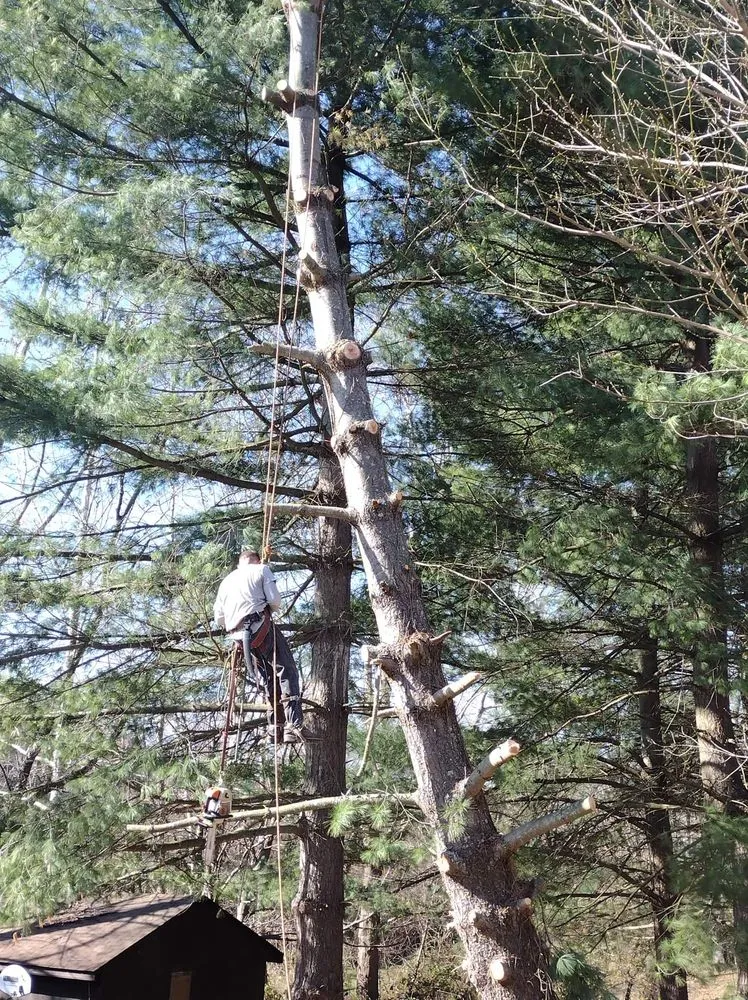 Reliable residential landscaping in Hebron, KY - ALL OUT Stumps & Lawn Care