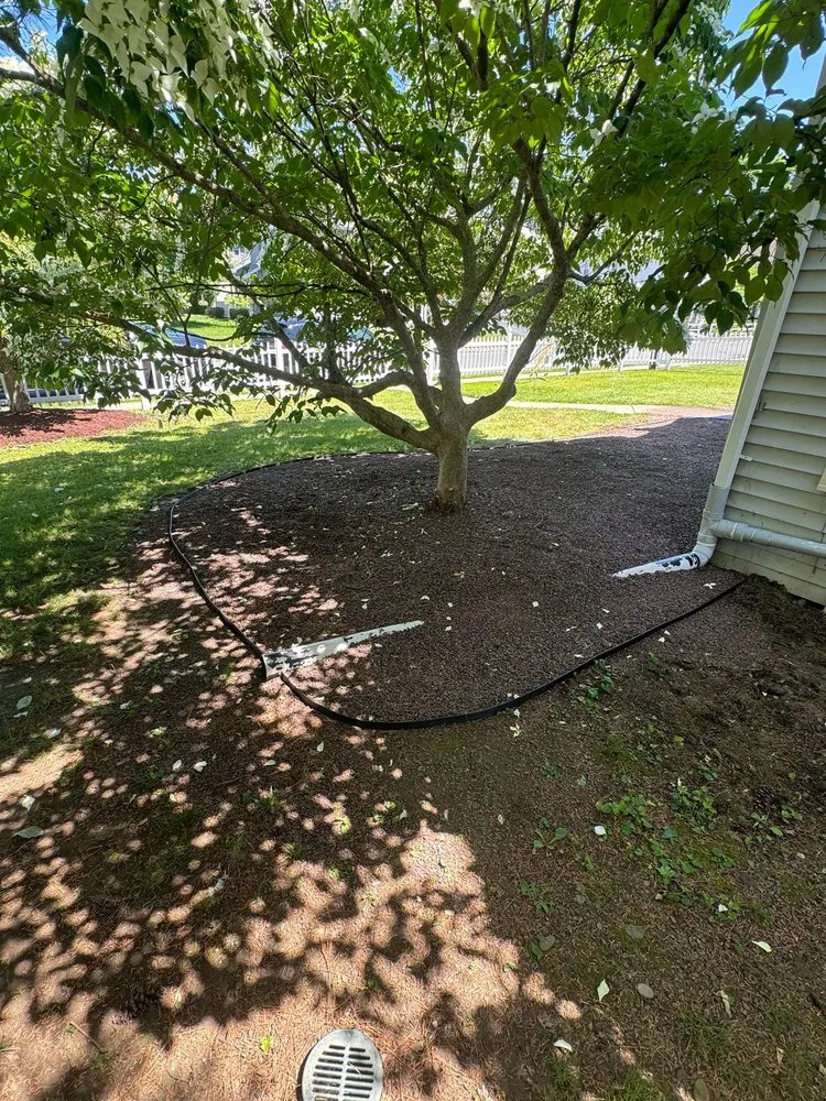 Professional landscape design for homes across Williamsport, PA - All-Out Ventures