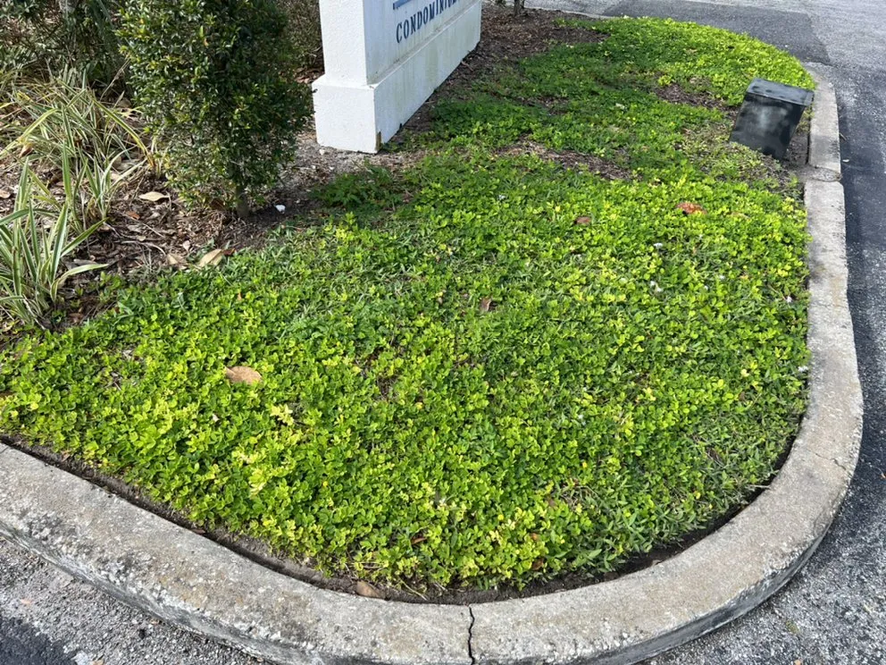 Top-rated landscape design experts serving Sanford, FL - All Outdoor Service