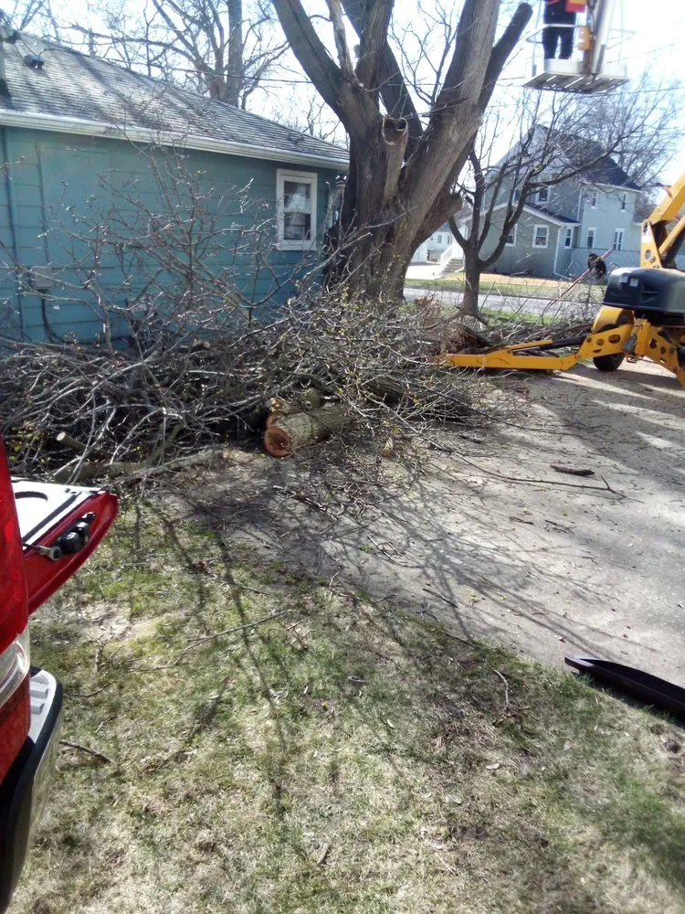 Affordable lawn care service for outdoor upgrades in Beloit, WI by All Outdoor Services