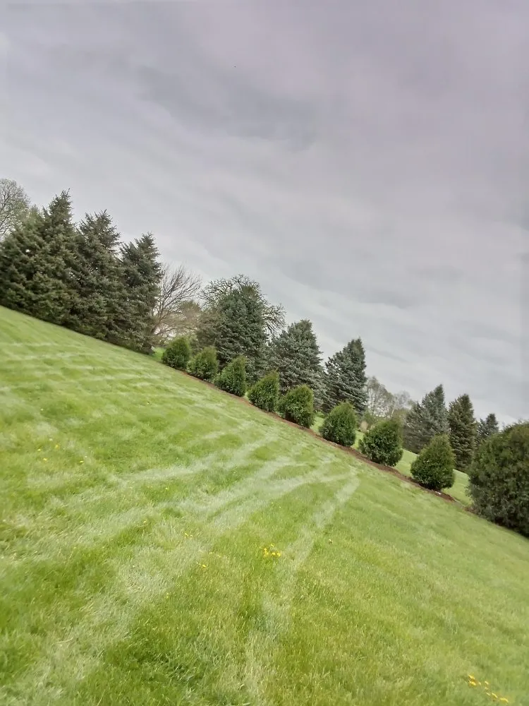 Local yard cleanup service with custom design across Beloit, WI - All Outdoor Services