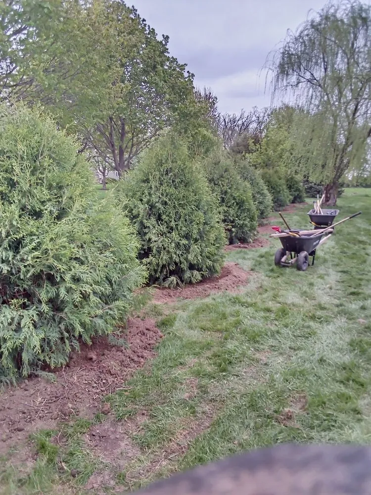 Reliable residential landscaping near you in Beloit, WI by All Outdoor Services