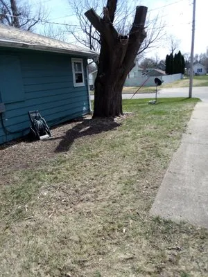 All Outdoor Services