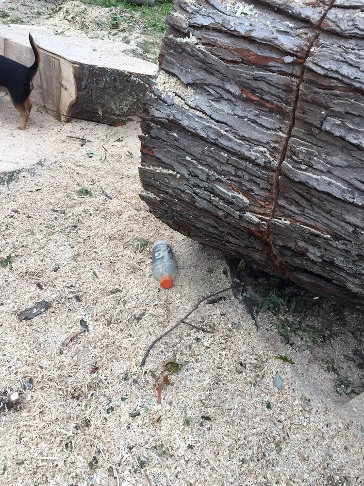 Trusted landscaping services experts serving Chesterfield, MO - All Outdoors