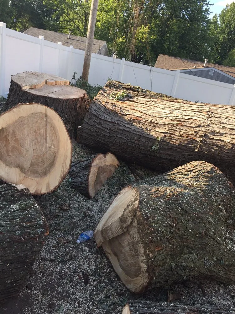 Professional landscape installation experts serving Chesterfield, MO - All Outdoors