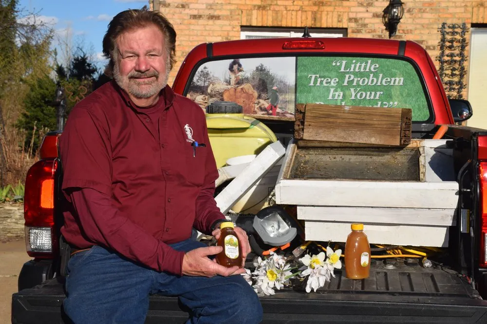 Custom outdoor landscaping experts serving Chesterfield, MO - All Outdoors