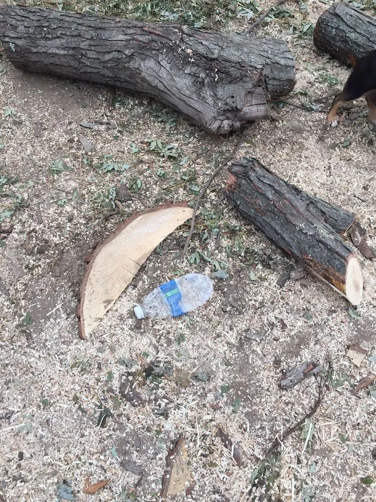 Affordable residential landscaping in Chesterfield, MO - All Outdoors