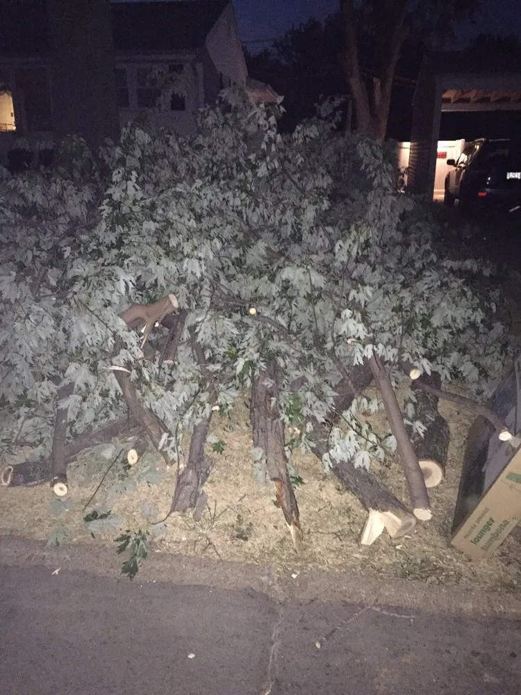 Expert outdoor landscaping with custom design in Chesterfield, MO by All Outdoors