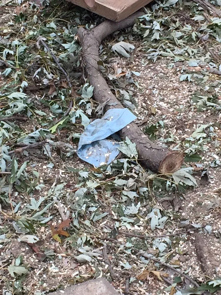 Expert lawn mowing service in Chesterfield, MO by All Outdoors