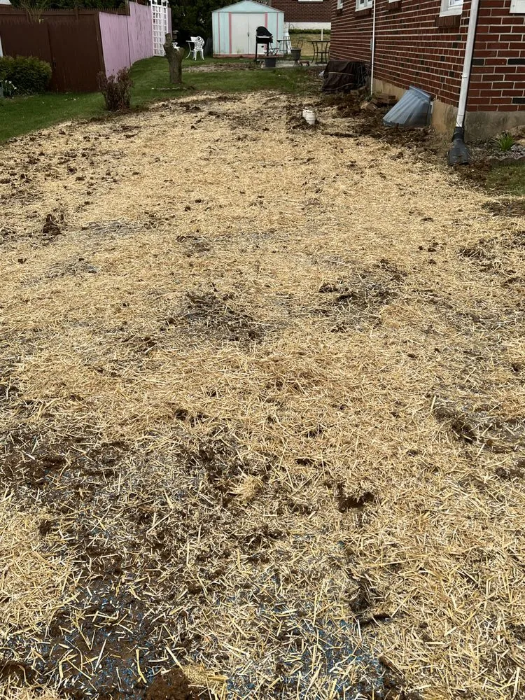 Affordable landscape installation in Lebanon, PA by All Outdoors