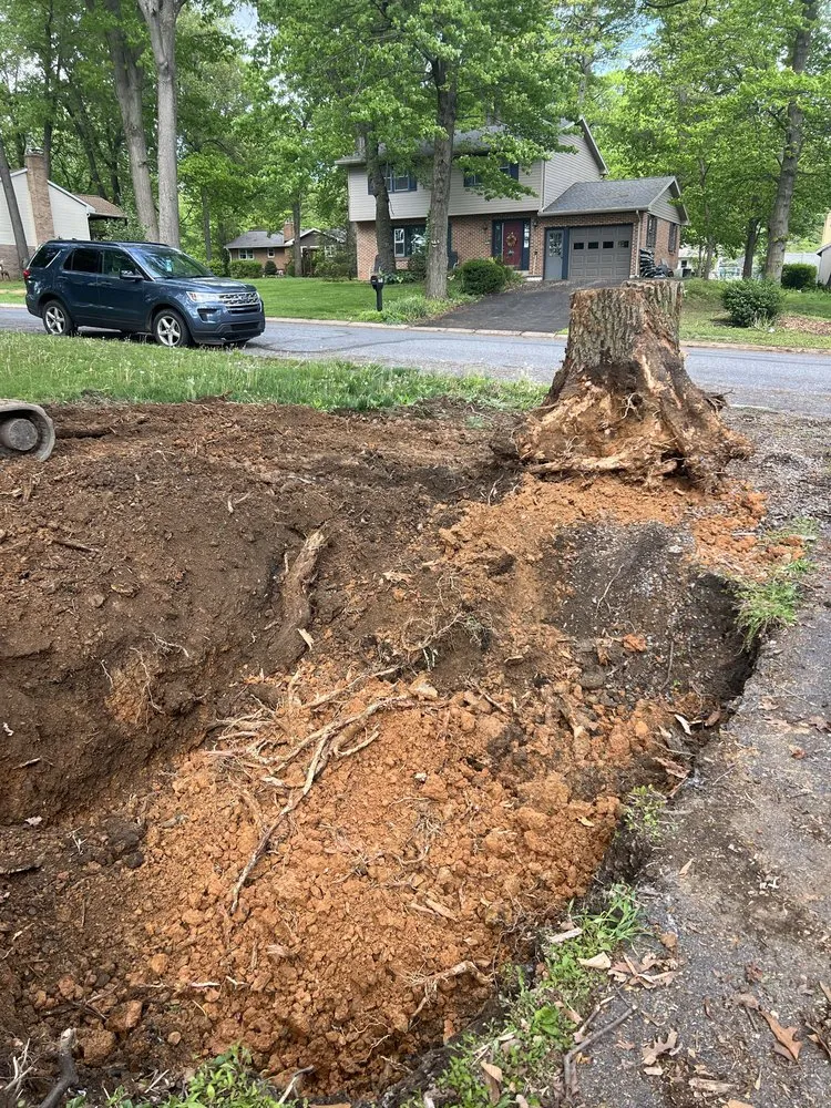 Reliable yard maintenance in Lebanon, PA - All Outdoors