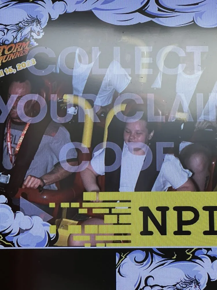 Local yard maintenance experts serving Lebanon, PA - All Outdoors