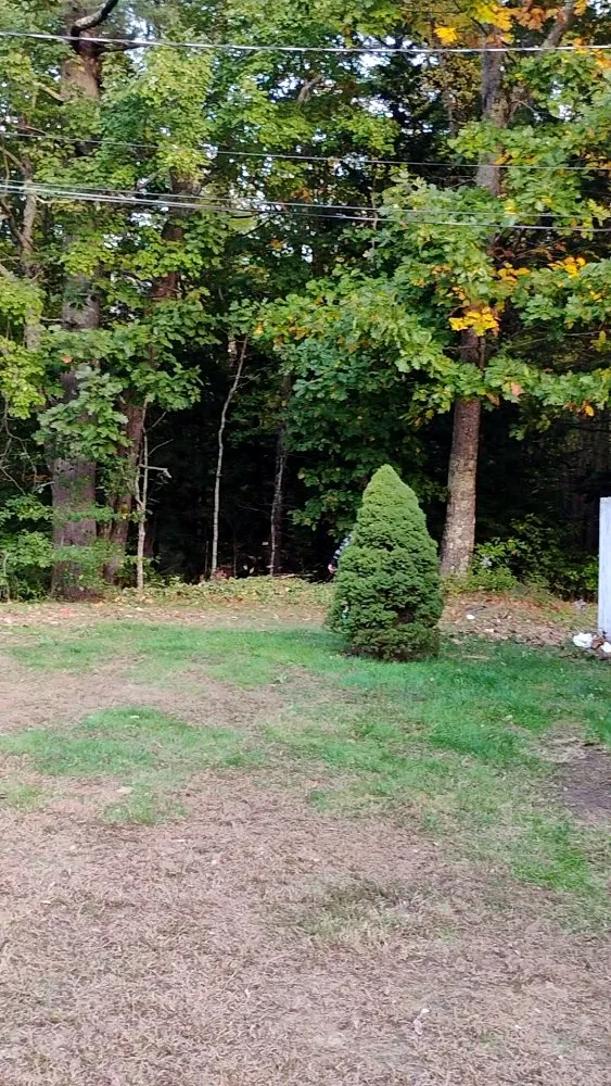 Trusted lawn care service in Sanford, ME by All Outdoors Maine