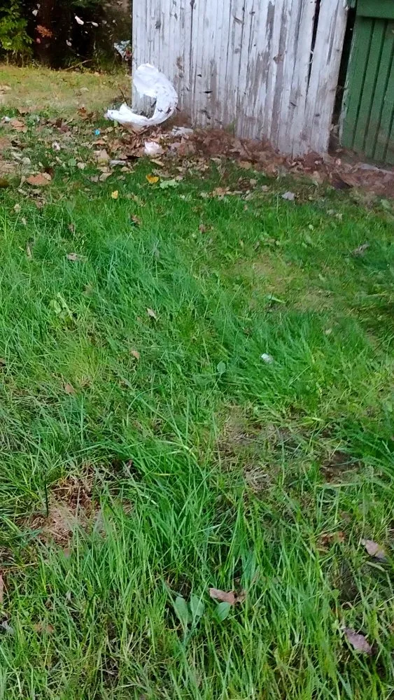 Affordable lawn care service experts serving Sanford, ME - All Outdoors Maine