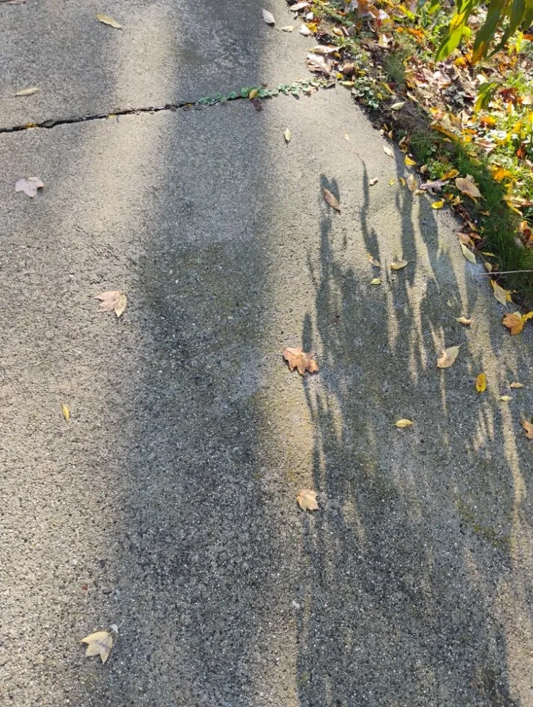 Trusted lawn care service with custom design across Sanford, ME - All Outdoors Maine