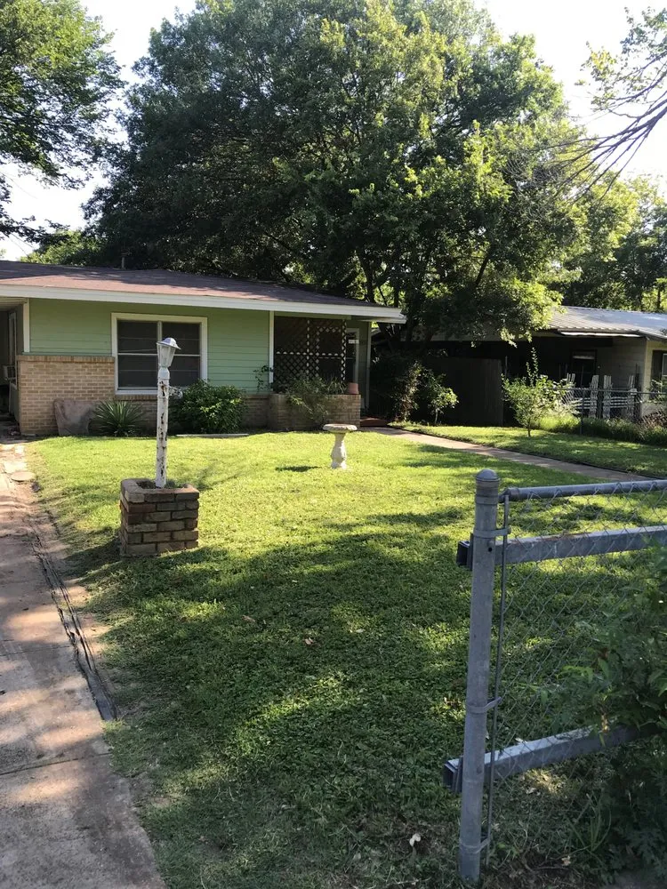 Expert yard maintenance for year-round maintenance across Dallas, TX - All Outdoors Renewal