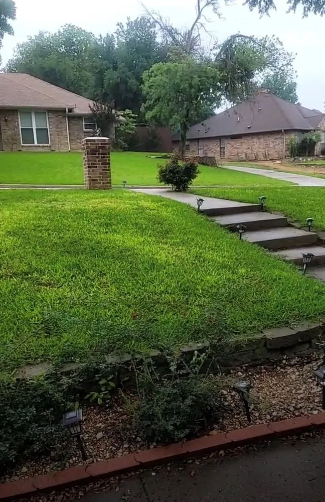 Affordable yard maintenance in Dallas, TX by All Outdoors Renewal