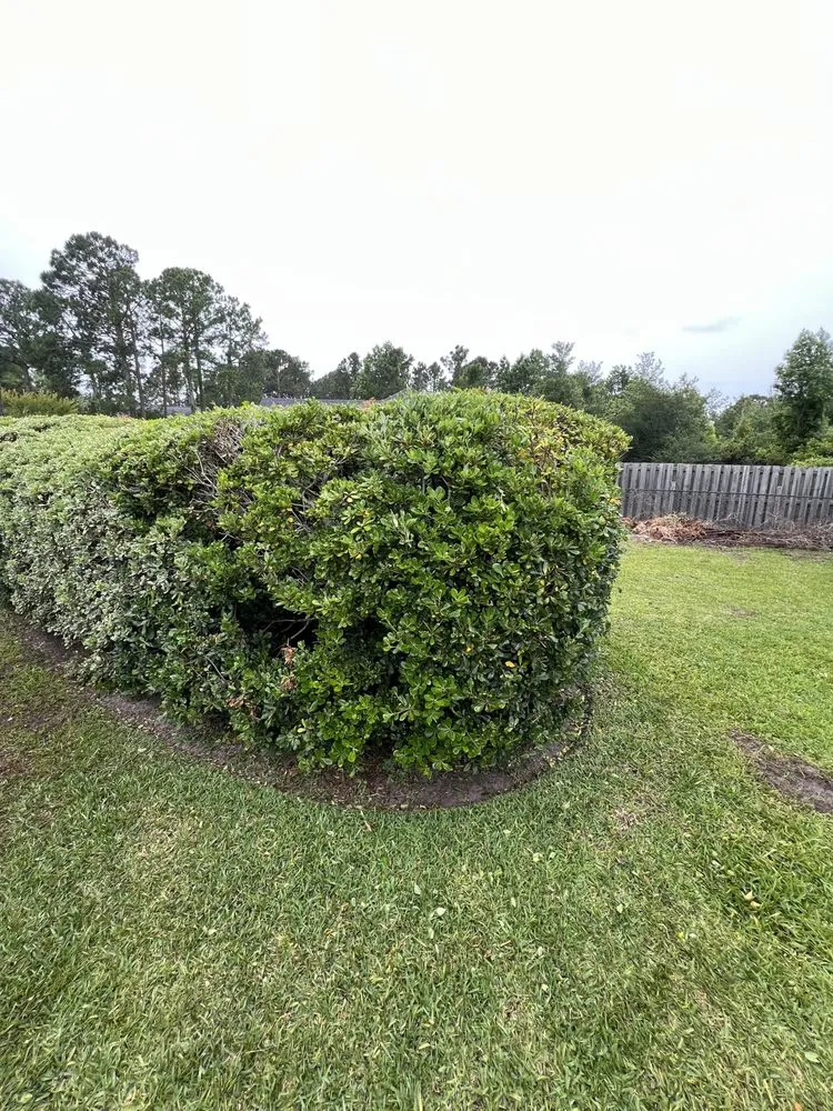 Local landscaping services in Leland, NC by All Over Pressure Washing N Landscaping