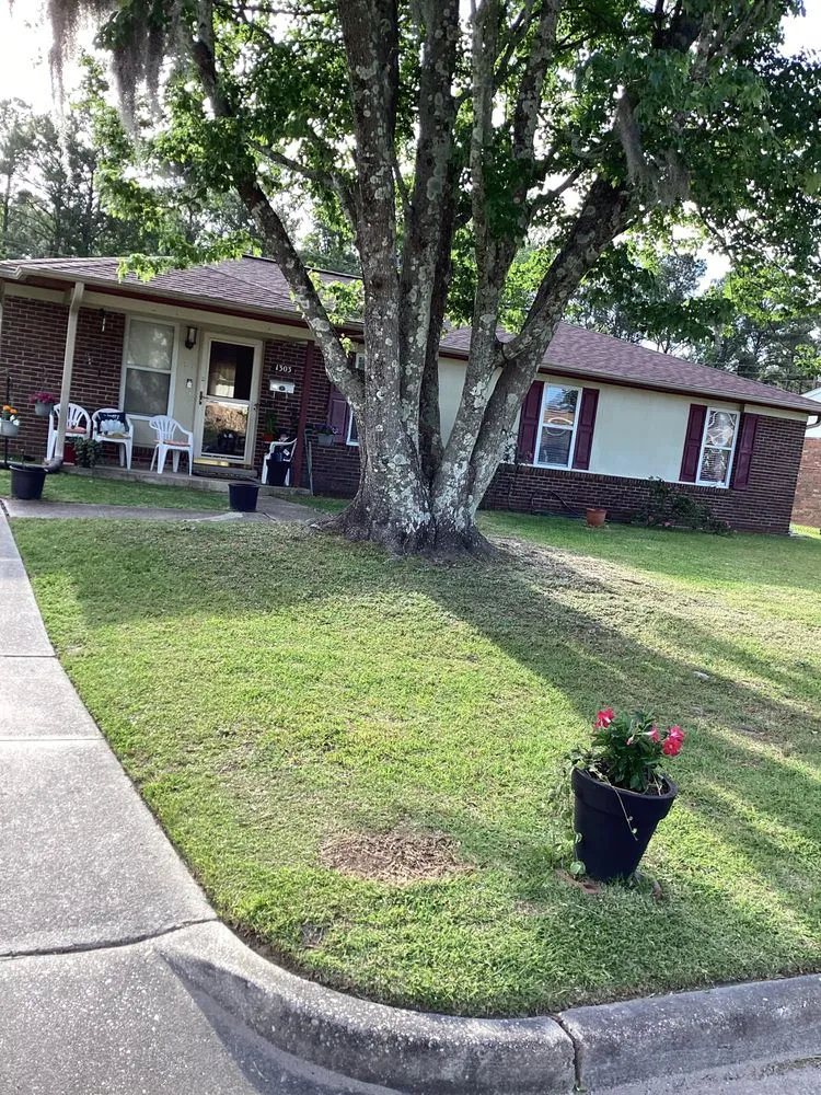 Affordable lawn care service experts serving Leland, NC - All Over Pressure Washing N Landscaping