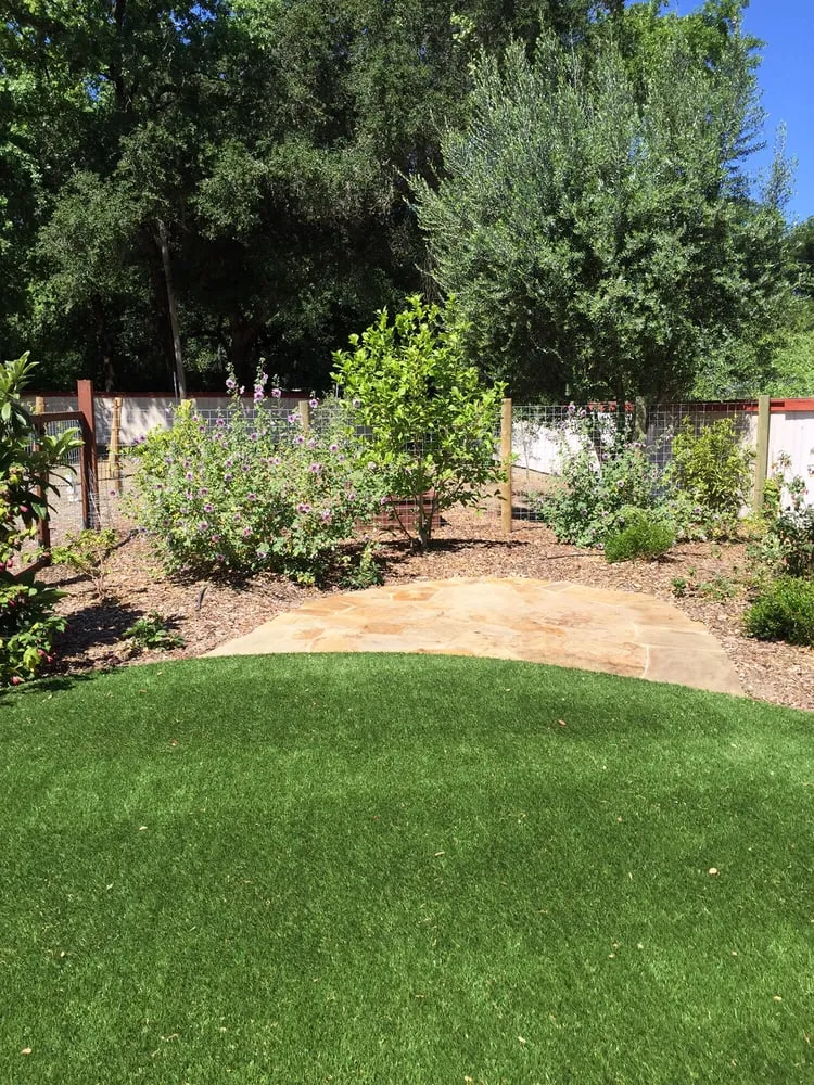 Professional lawn care service experts serving Napa, CA - All Phase Landscape Contractor