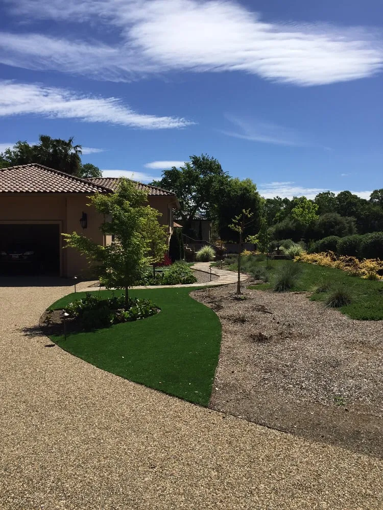 Local yard cleanup service in Napa, CA - All Phase Landscape Contractor