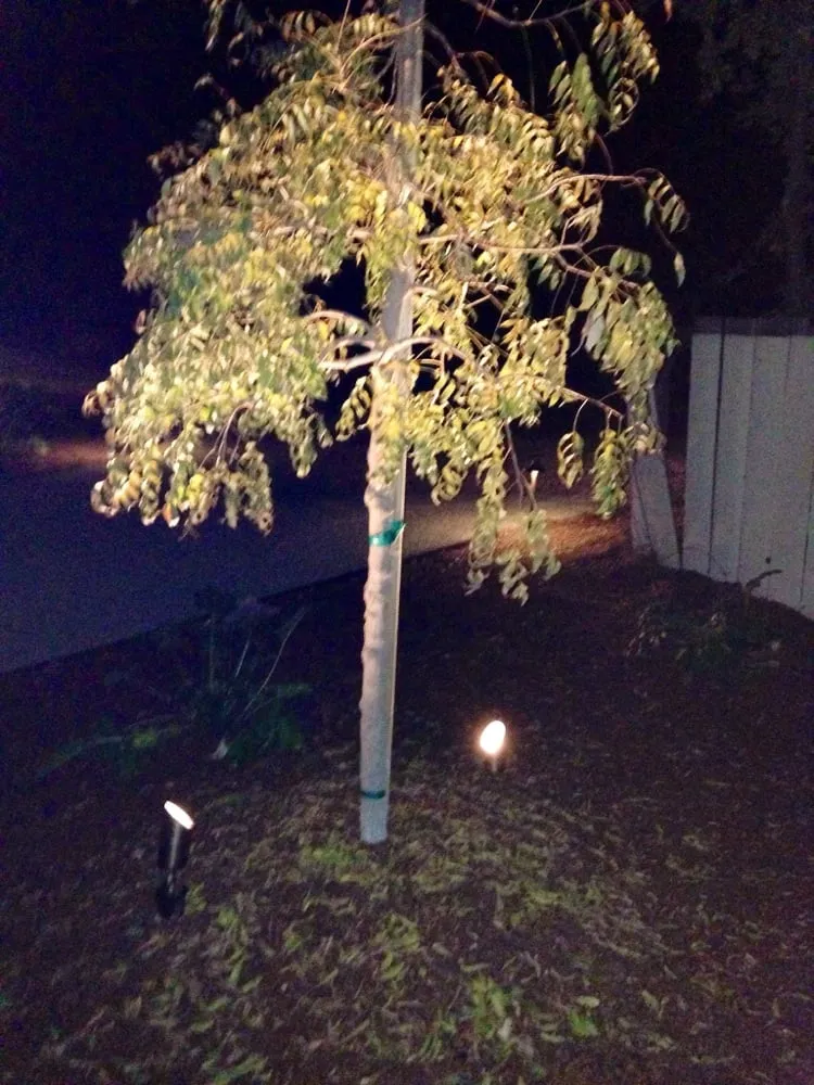 Custom outdoor landscaping experts serving Napa, CA - All Phase Landscape Contractor