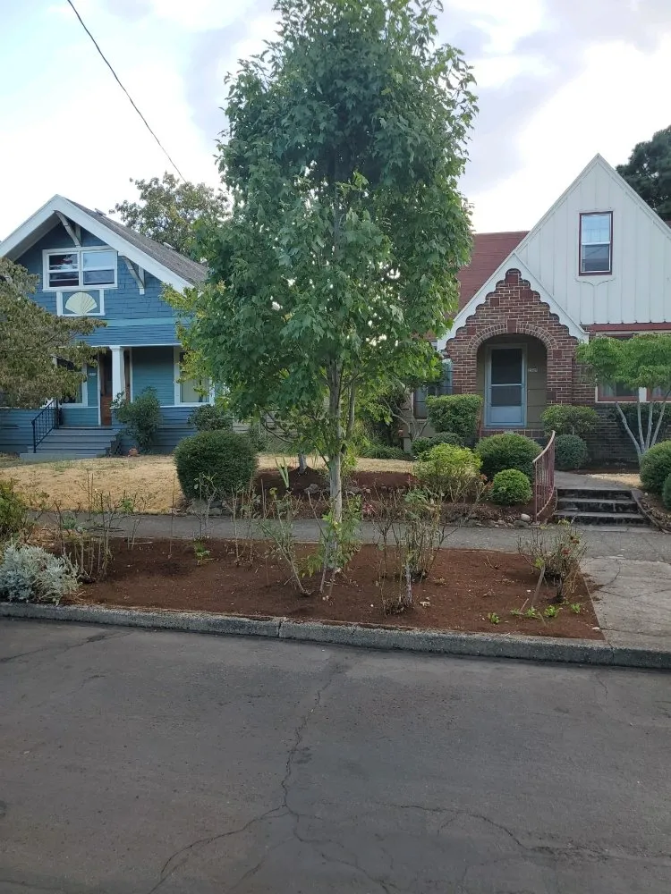 Expert landscape design in Milwaukie, OR - All Phase Landscaping