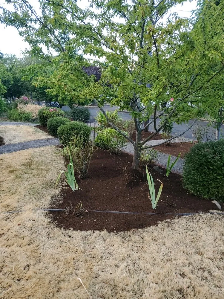 Reliable landscape design experts serving Milwaukie, OR - All Phase Landscaping