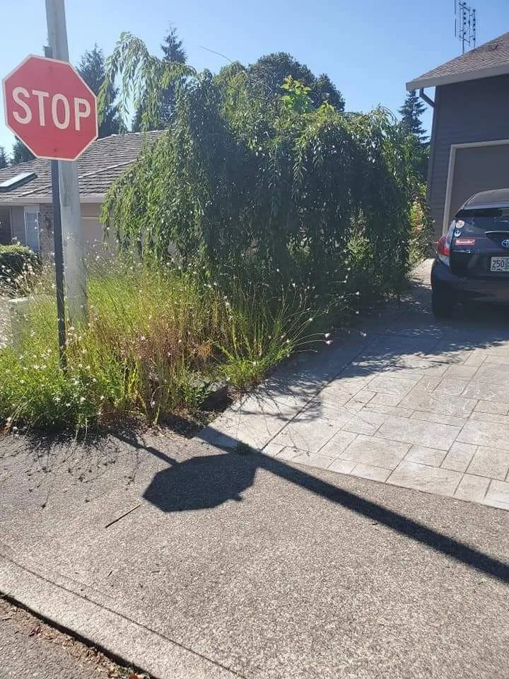 Top-rated residential landscaping experts serving Milwaukie, OR - All Phase Landscaping